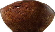 Wooden Bowl 02 - orth_side