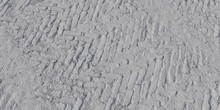 Worn Brick Path - clay