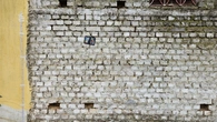 Worn Brick Wall - reference
