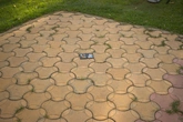 Worn Patterned Pavers - context_02