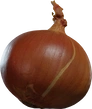 Yellow Onion - orth_front