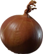 Yellow Onion - orth_side