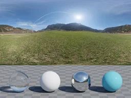 Alps Field