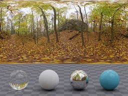 Autumn Forest 01