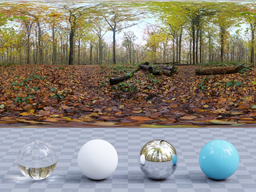 Autumn Ground