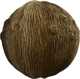 Bark Brown 01
