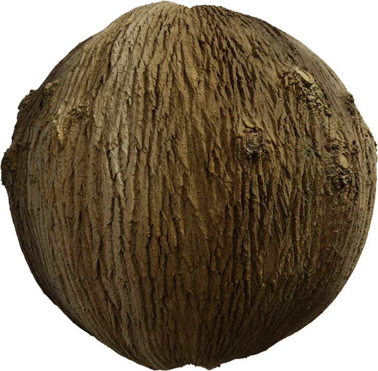 Bark Brown 01