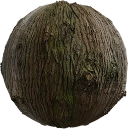 Bark Brown 02