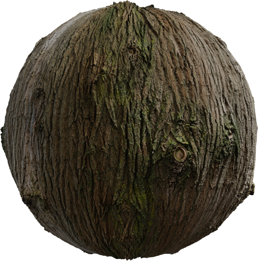 Bark Brown 02