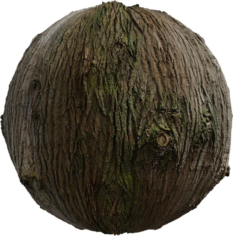 Bark Brown 02