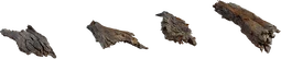 Bark Debris 01