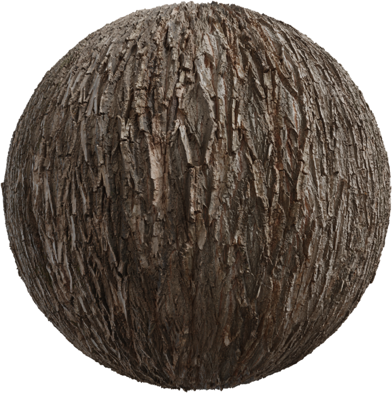 Bark Willow 02