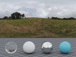 Belfast Open Field