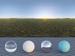Bloem Field Sunrise