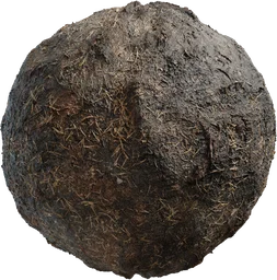 Burned Ground 01