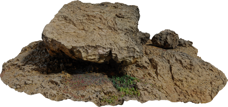 Coast Rocks 05