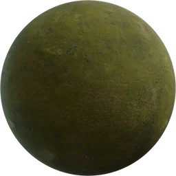 Concrete Moss