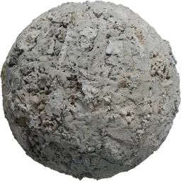 Coral Fort Wall 01
