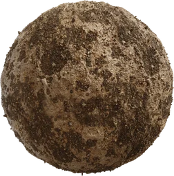 Coral Ground 02