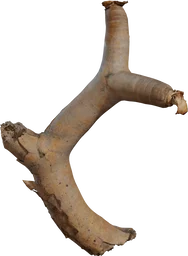 Dead Quiver Branch 01