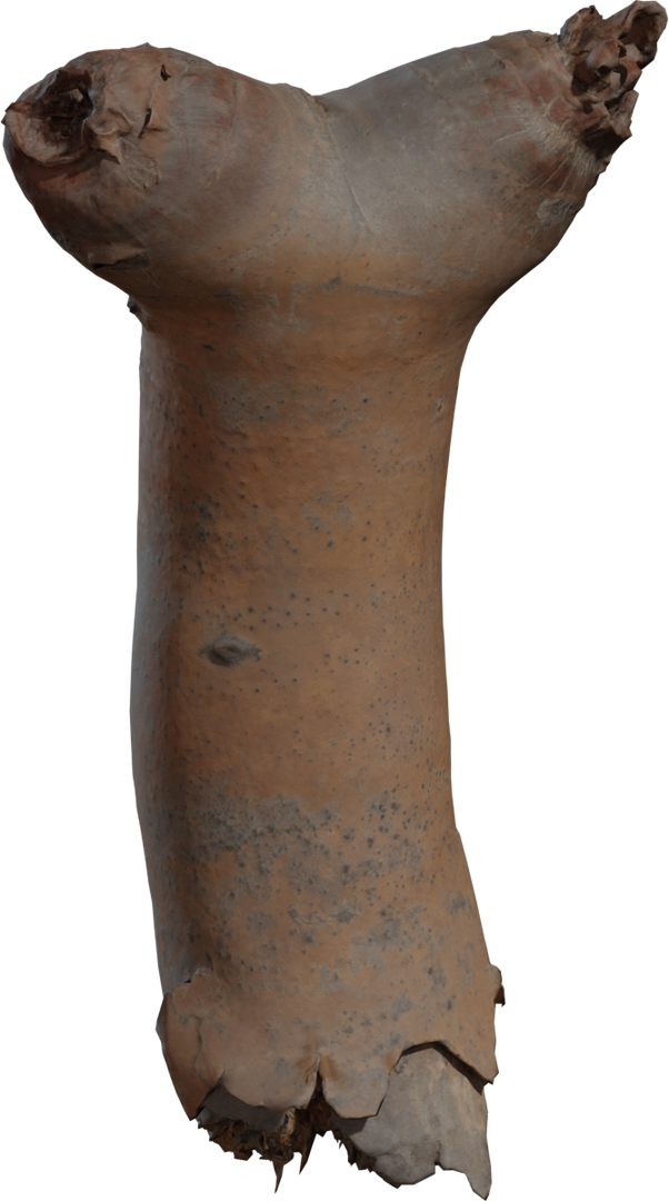 Dead Quiver Branch 02