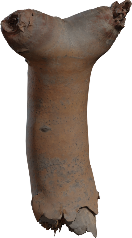 Dead Quiver Branch 02