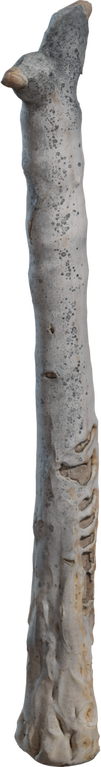 Dead Quiver Trunk