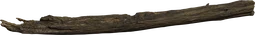 Dead Tree Trunk