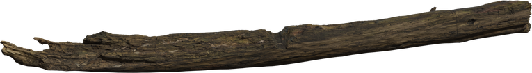 Dead Tree Trunk preview