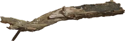 Dead Tree Trunk 02
