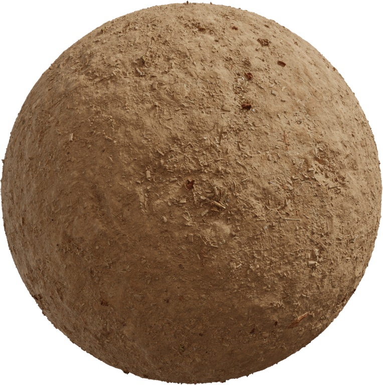 Dirt Floor