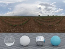 Farm Field