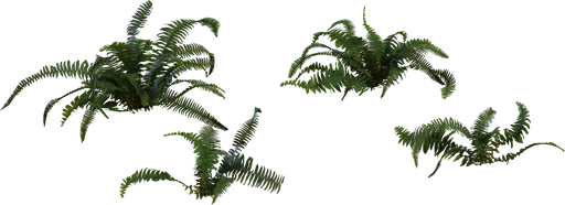 Fern 02 — free food & plants CC0 3D model