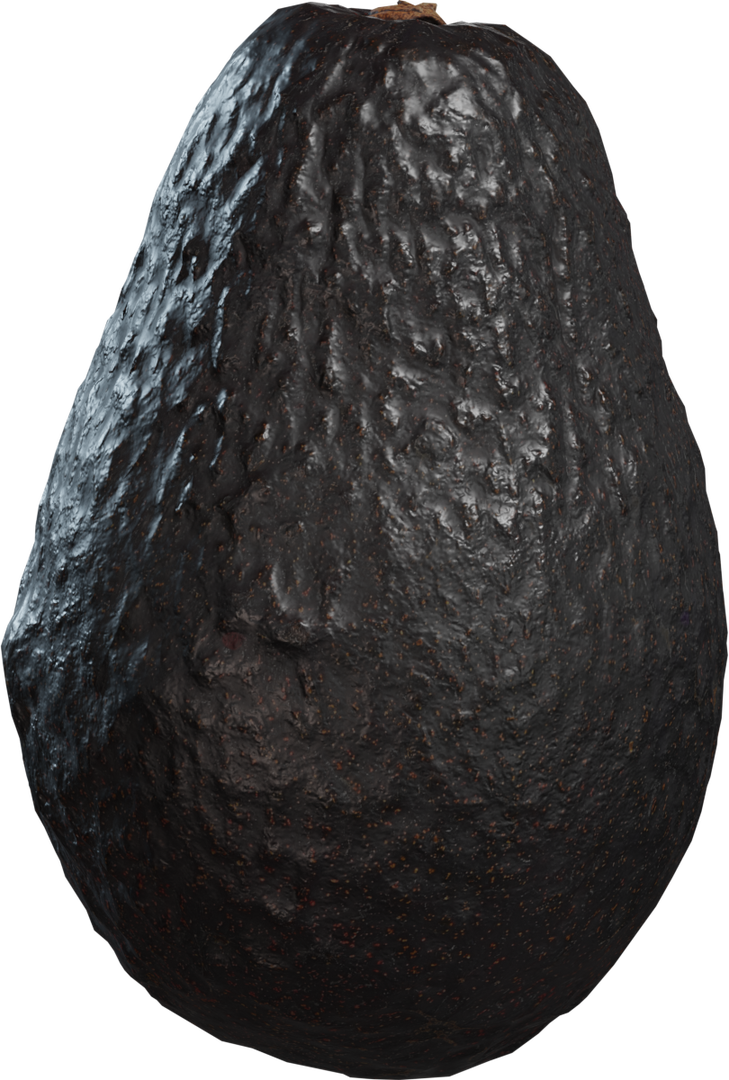 Food Avocado 01