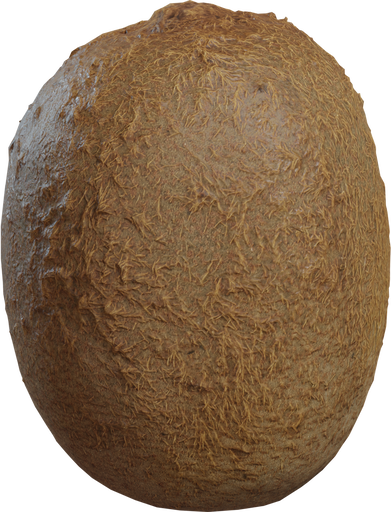 Food Kiwi 01 — free food & plants CC0 3D model