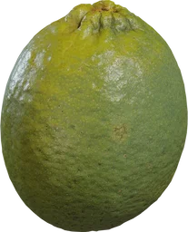 Food Lime 01