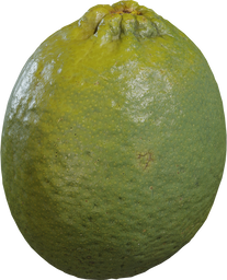 Food Lime 01