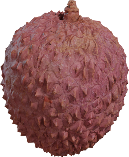 Food Lychee 01 — free food & plants CC0 3D model