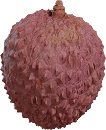Food Lychee 01