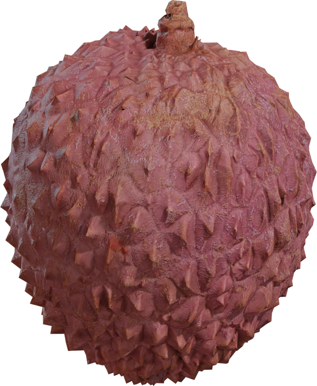 Food Lychee 01