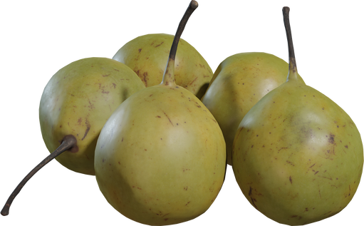 Pears Asian 01 — free food & plants CC0 3D model