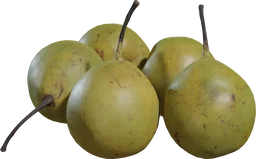 Pears Asian 01