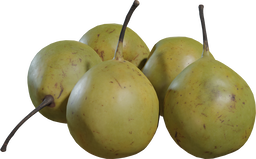 Pears Asian 01