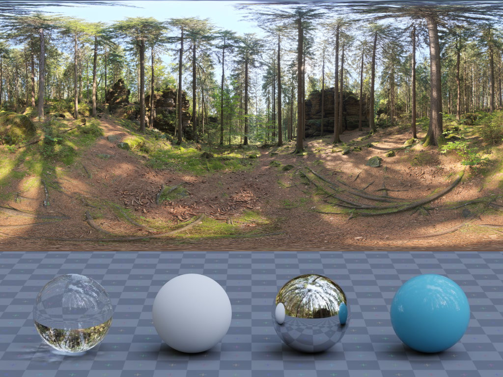Forest Slope