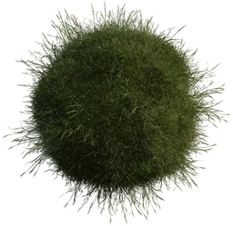 Grass Medium 01