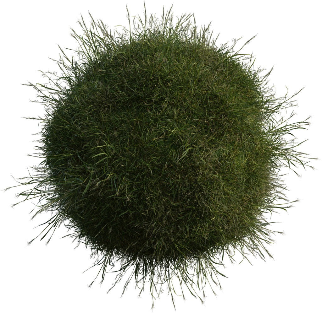 Grass Medium 01