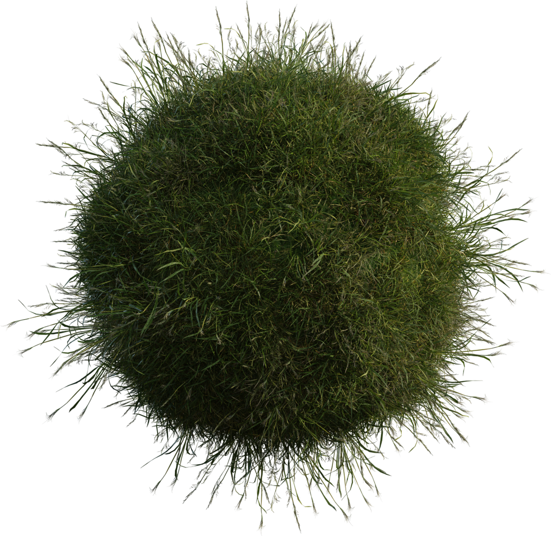 Grass Medium 01