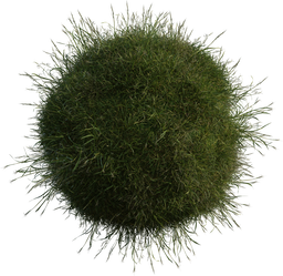 Grass Medium 01