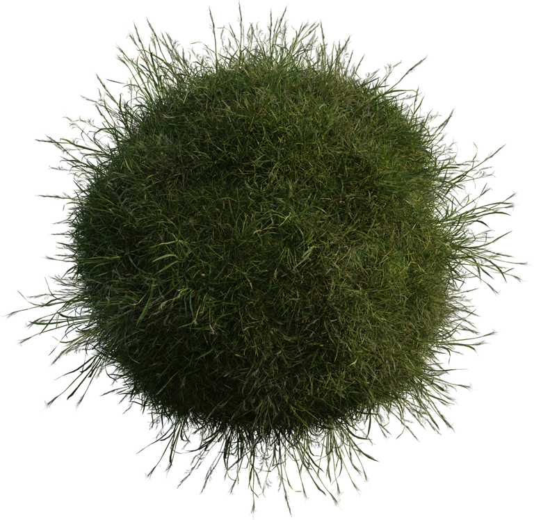 Grass Medium 01