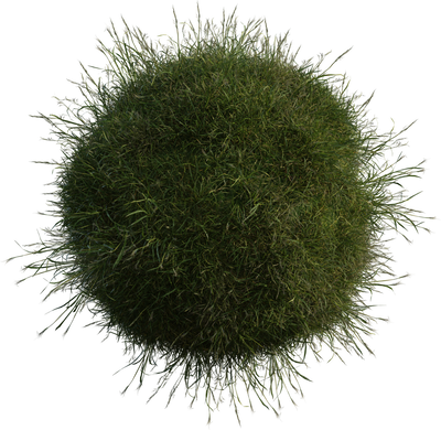 Grass Medium 01